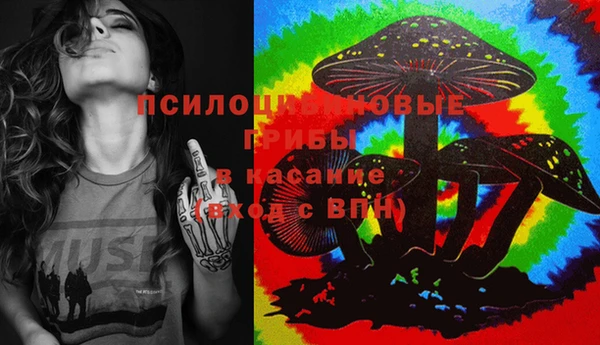 СК Рославль