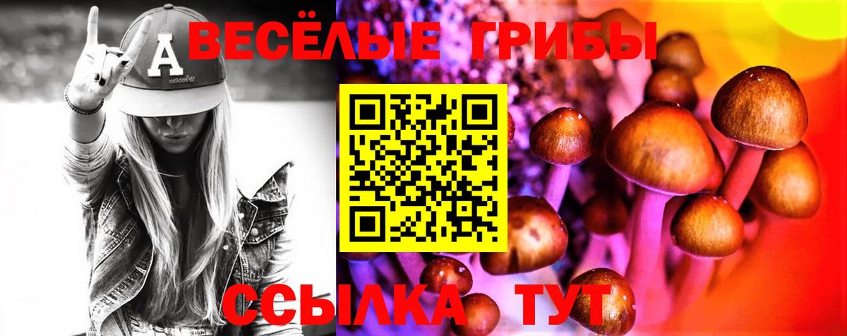 Псилоцибиновые грибы Cubensis  Вход с VPN  Солнечногорск 